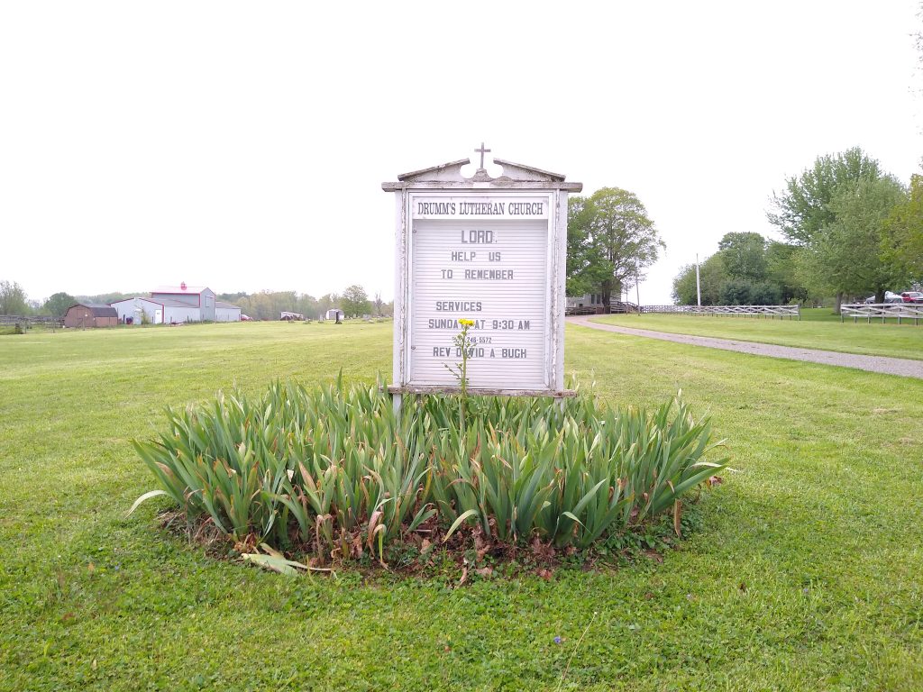 Impudent Flower againt Church Sign